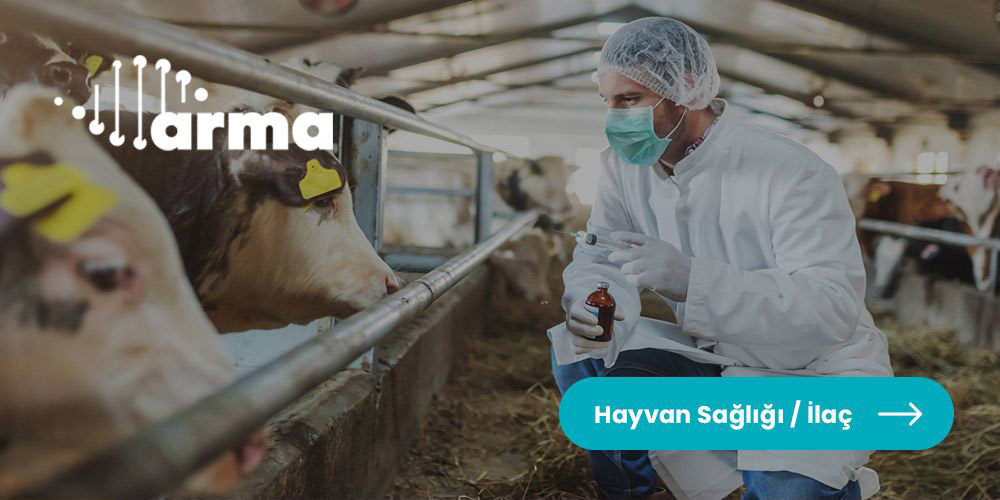 Hayvan Sağlığı / İlaç